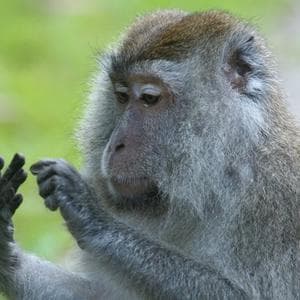 Concern as Thames Water Pumps Sewage Into River for Six Weeks