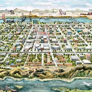 Ikea & Trader Joe's Openings