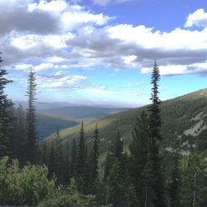 Untrained Cricklade Surgery Staff 'Putting Patients at Risk'