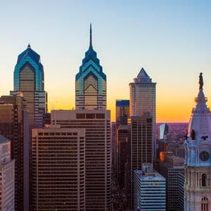 Devon's wet winter may be behind 'devastating' bee losses